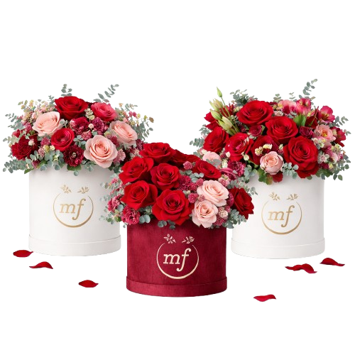 Valentine's Day Bundles