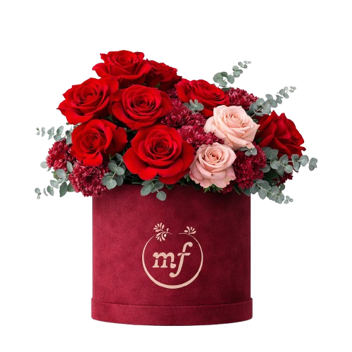 Valentine's Day Offers