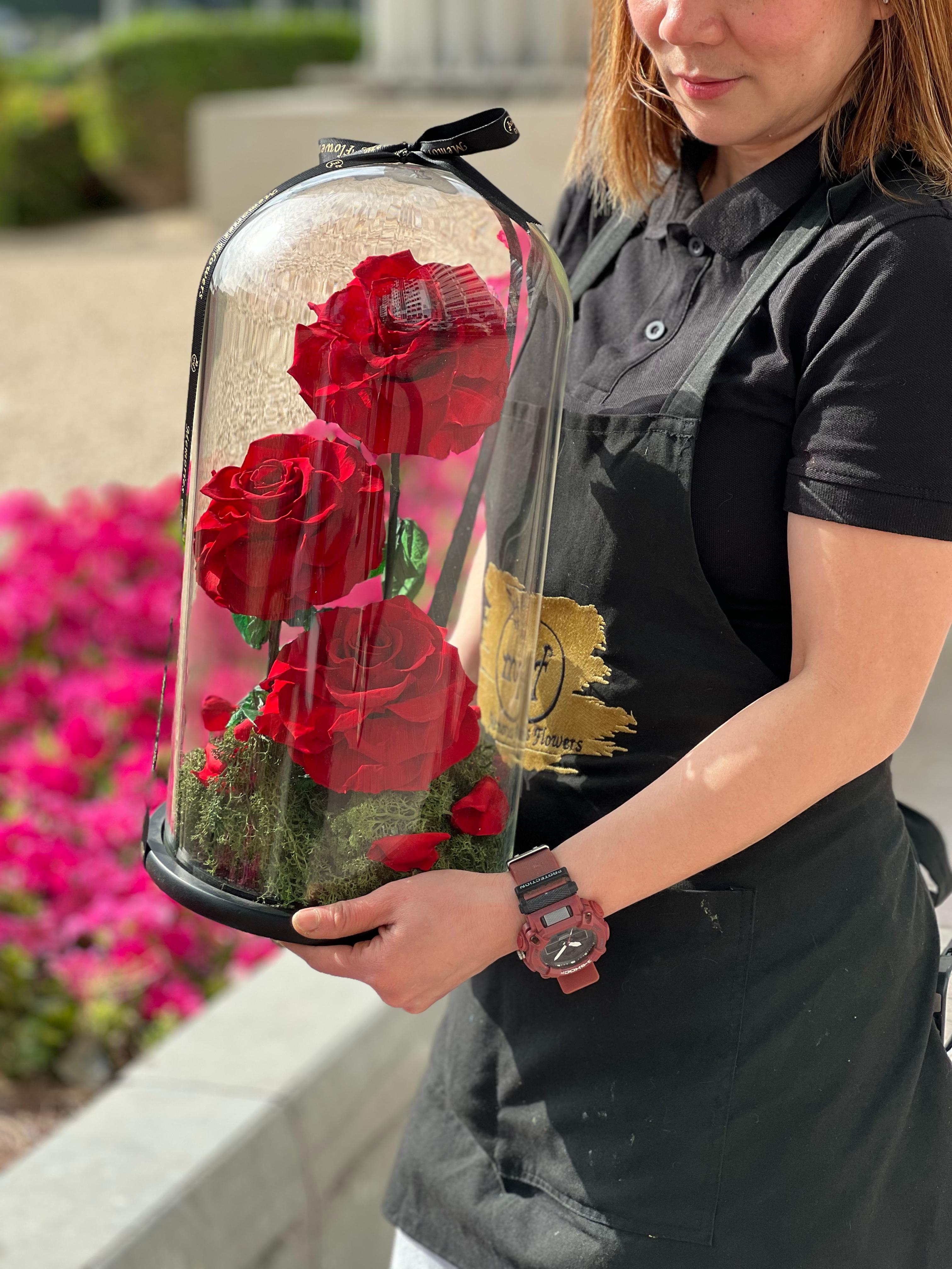 Infinity Rosed Infinity Roses Collection